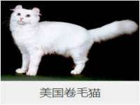 上海邦木科技有限公司