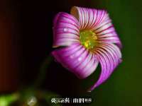 上海邦木科技有限公司