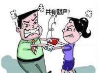 上海邦木科技有限公司